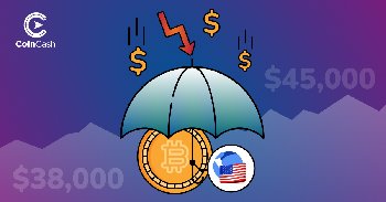 Bitcoin Hodler hírösszefoglaló - 16. hét